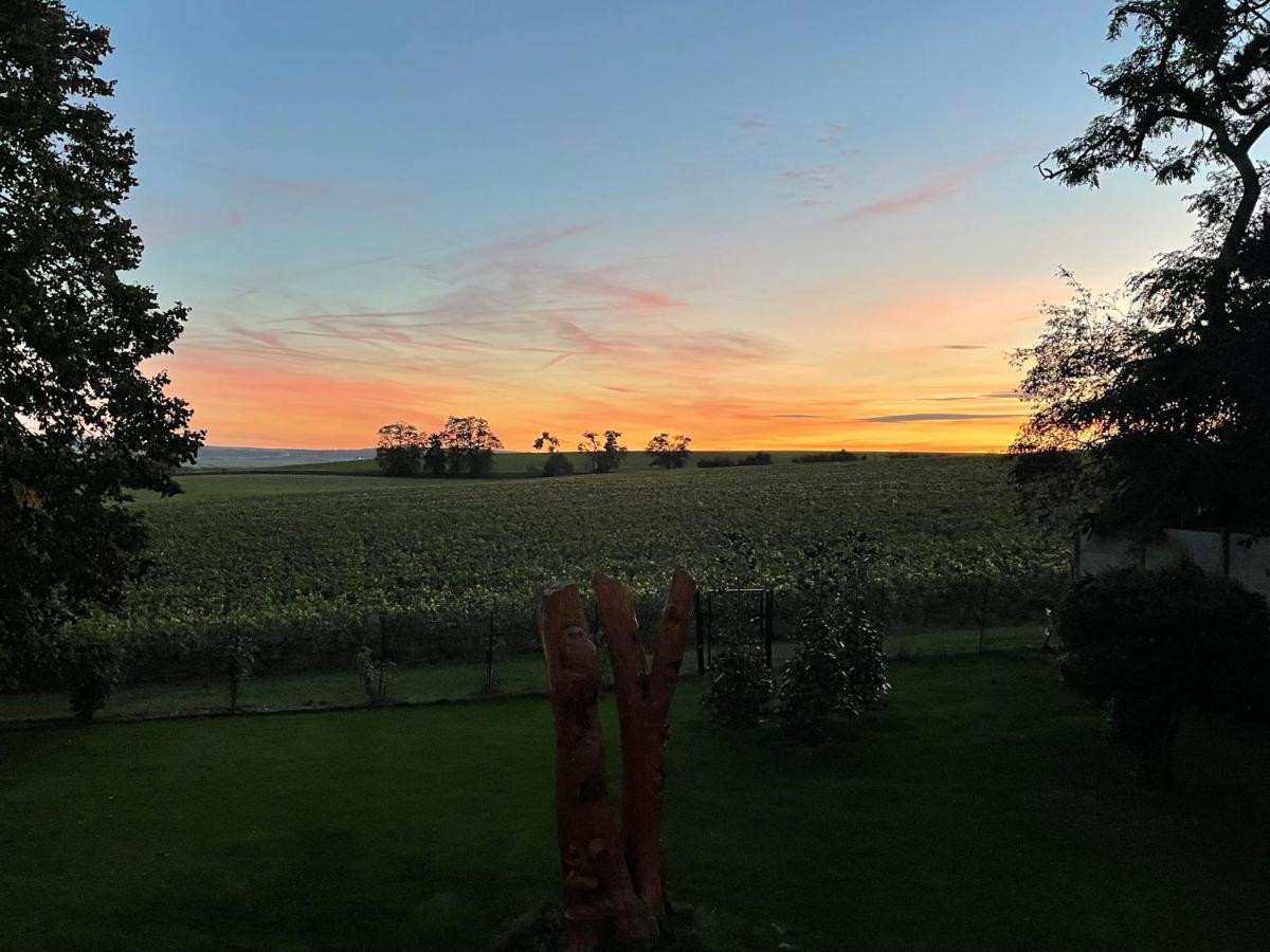 Best View, Pool And Spa On The Champagne Vineyard Saint-Thierry エクステリア 写真