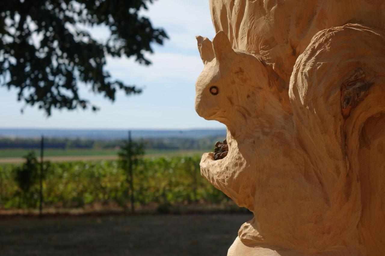 Best View, Pool And Spa On The Champagne Vineyard Saint-Thierry エクステリア 写真