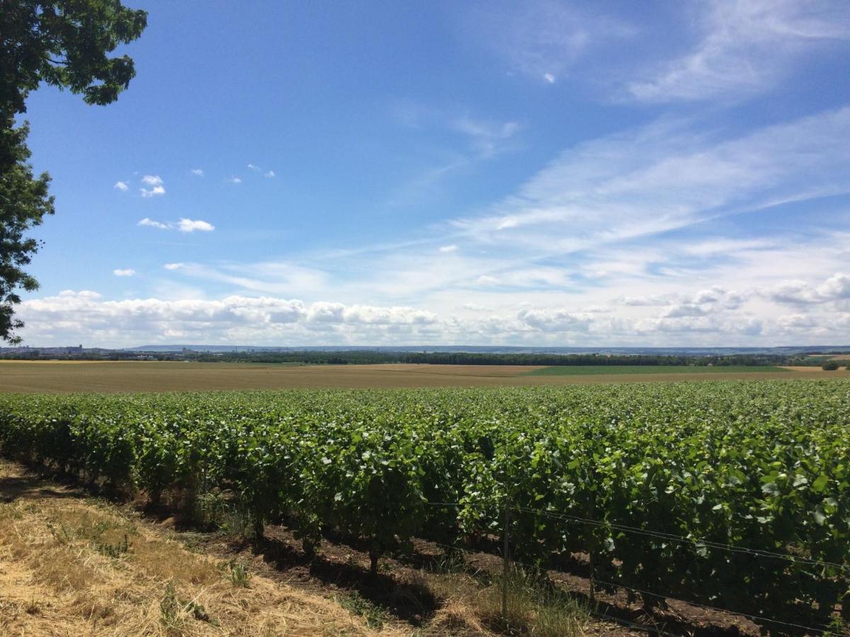 Best View, Pool And Spa On The Champagne Vineyard Saint-Thierry エクステリア 写真