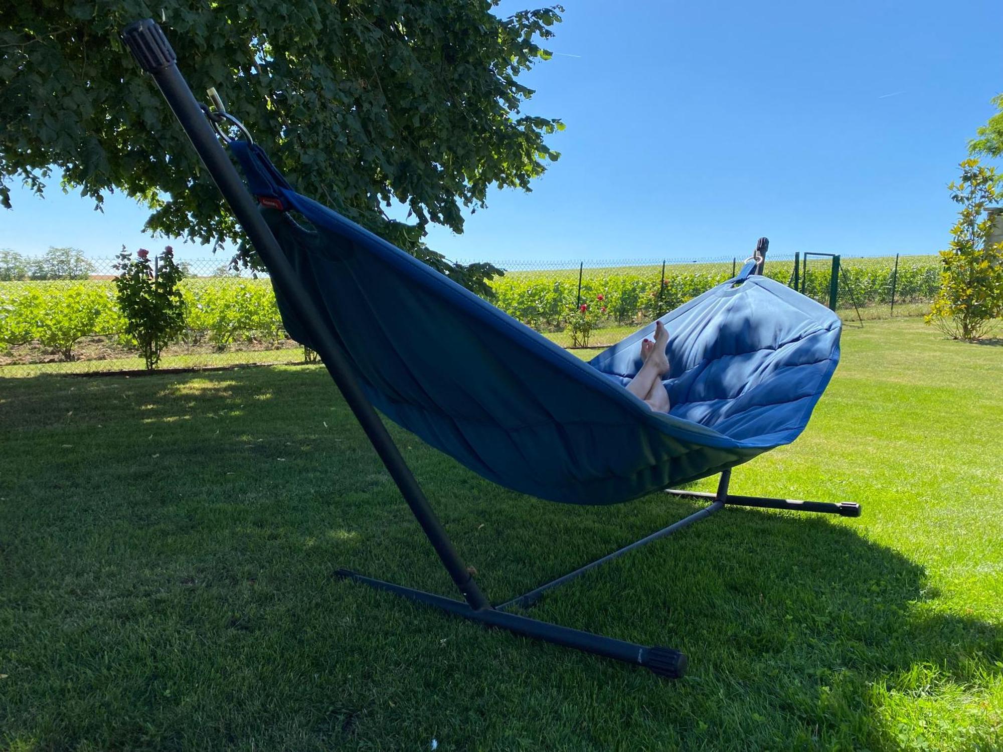 Best View, Pool And Spa On The Champagne Vineyard Saint-Thierry エクステリア 写真