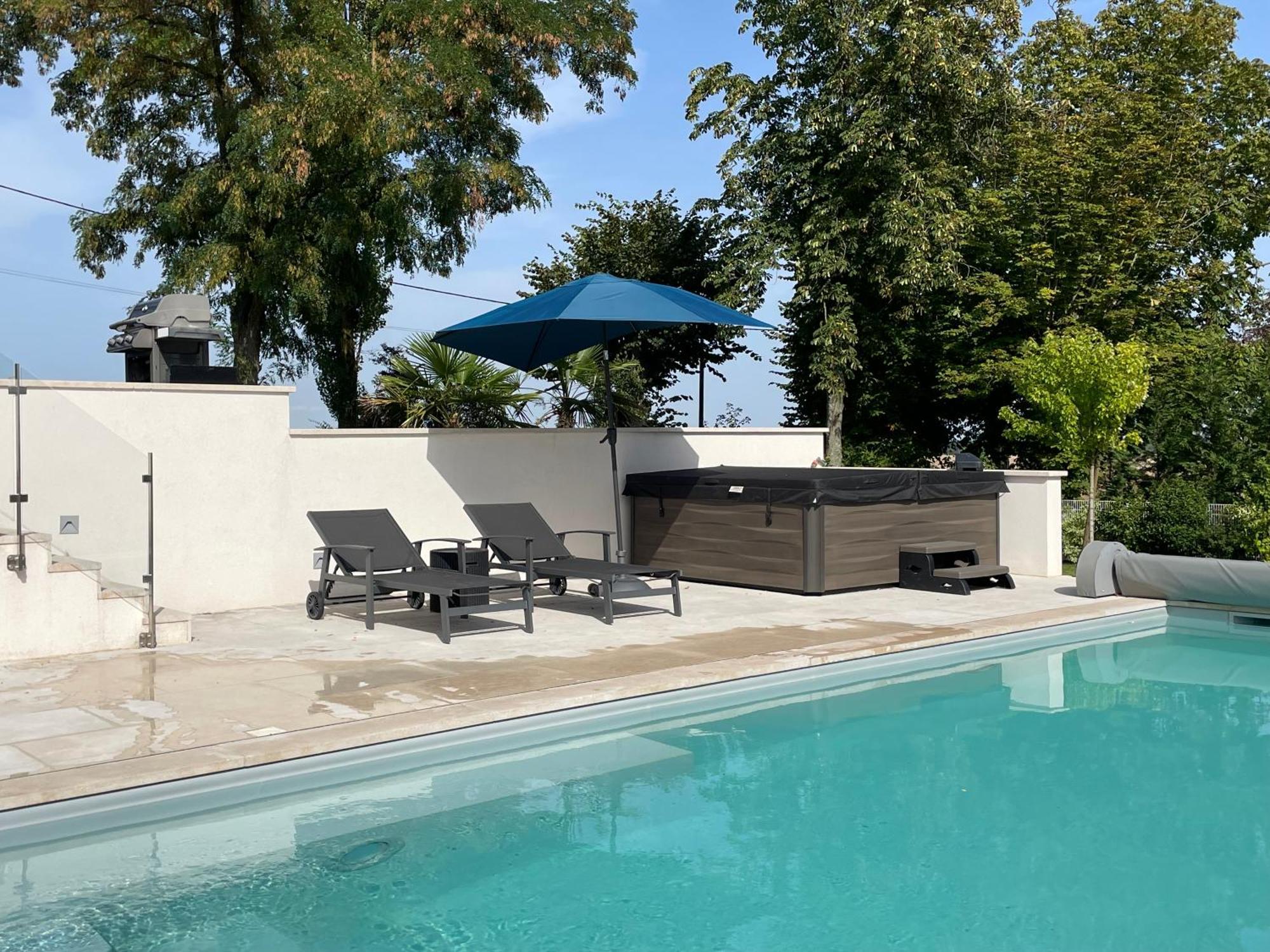 Best View, Pool And Spa On The Champagne Vineyard Saint-Thierry エクステリア 写真
